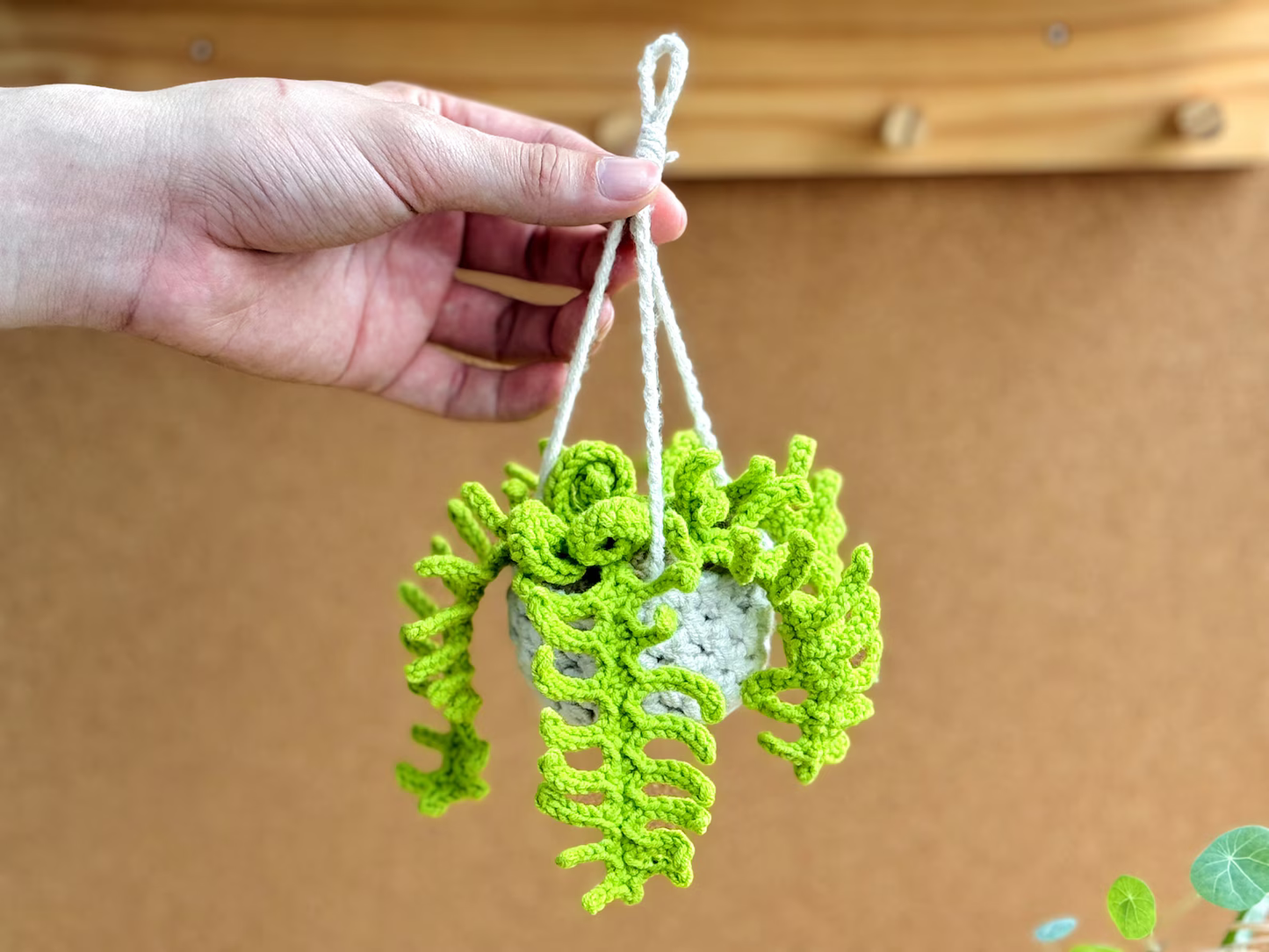Hanging Plant Decoration - Crochet Pattern