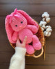 Charming Bunny Crochet Pattern – Amigurumi Plushie