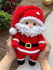 Santa Claus Crochet Pattern