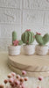 Load and play video in Gallery viewer, Cactus Love Crochet Pattern